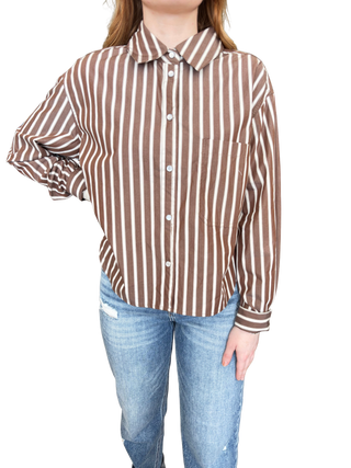 Brown Stripe Long Sleeve Pearl Snap Shirt