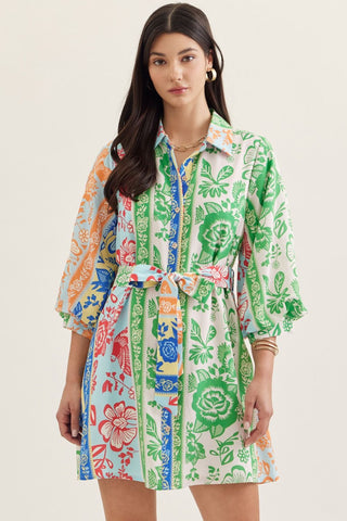 Botanical stripe print 3/4 puff sleeve mini dress