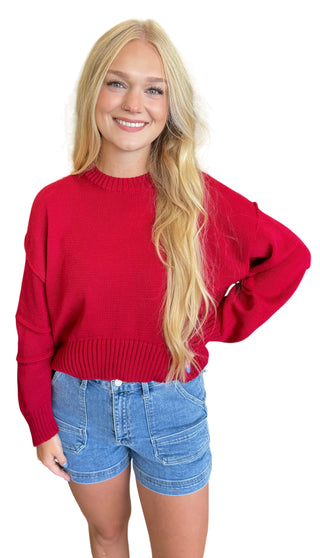 Ruby Round Neck Sweater Top With Pleated Sleeve
