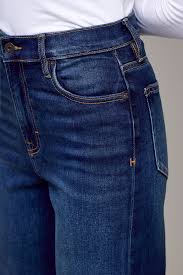 Hidden Logan High Rise Dad Jean